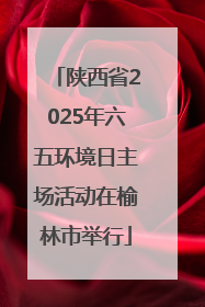 陕西省2025年六五环境日主场活动在榆林市举行