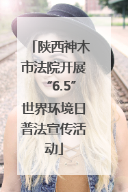 陕西神木市法院开展“6.5”世界环境日普法宣传活动