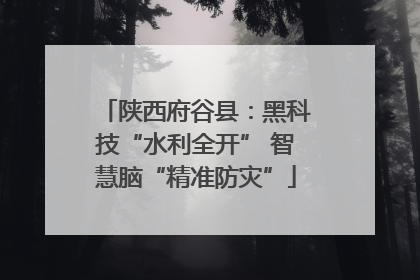 陕西府谷县：黑科技“水利全开” 智慧脑“精准防灾”