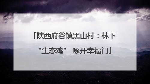 陕西府谷镇黑山村：林下“生态鸡” 啄开幸福门