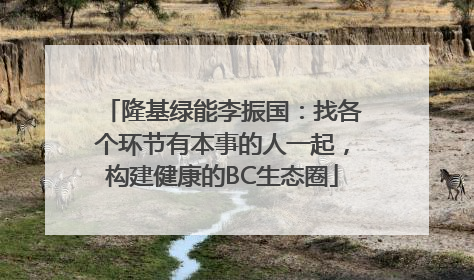 隆基绿能李振国：找各个环节有本事的人一起，构建健康的BC生态圈