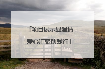 项目展示显温情 爱心汇聚助残行