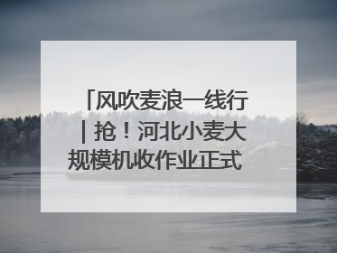 风吹麦浪一线行｜抢！河北小麦大规模机收作业正式拉开帷幕