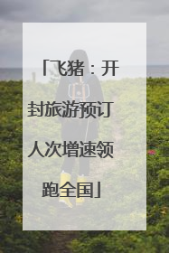 飞猪：开封旅游预订人次增速领跑全国