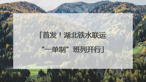 首发！湖北铁水联运“一单制”班列开行