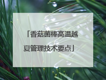 香菇菌棒高温越夏管理技术要点