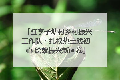 驻李子塘村乡村振兴工作队：扎根热土践初心 绘就振兴新画卷