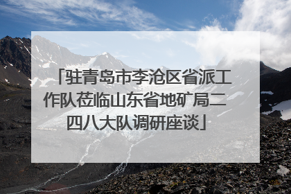 驻青岛市李沧区省派工作队莅临山东省地矿局二四八大队调研座谈