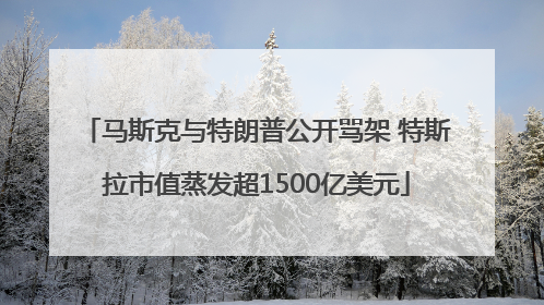 马斯克与特朗普公开骂架 特斯拉市值蒸发超1500亿美元