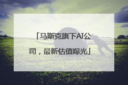 马斯克旗下AI公司，最新估值曝光