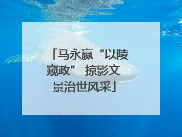 马永嬴“以陵窥政” 掠影文景治世风采