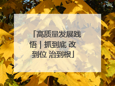 高质量发展践悟｜抓到底 改到位 治到根