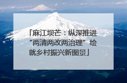 麻江坝芒：纵深推进“两清两改两治理”绘就乡村振兴新图景