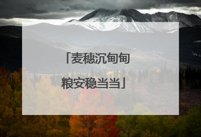 麦穗沉甸甸 粮安稳当当