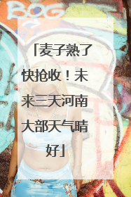 麦子熟了快抢收！未来三天河南大部天气晴好