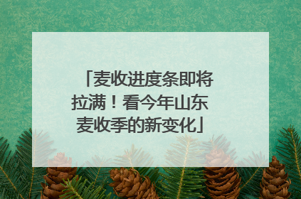 麦收进度条即将拉满！看今年山东麦收季的新变化