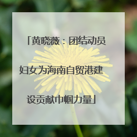 黄晓薇：团结动员妇女为海南自贸港建设贡献巾帼力量