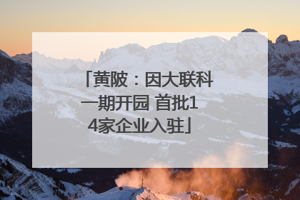 黄陂：因大联科一期开园 首批14家企业入驻