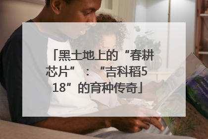 黑土地上的“春耕芯片”：“吉科稻518”的育种传奇