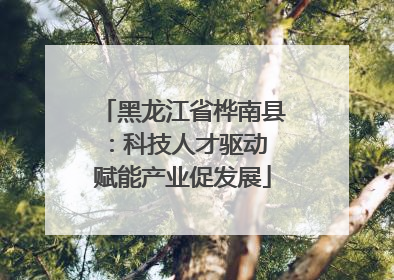 黑龙江省桦南县：科技人才驱动 赋能产业促发展