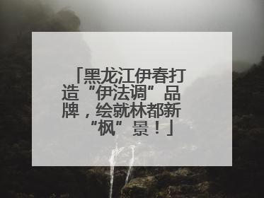 黑龙江伊春打造“伊法调”品牌，绘就林都新“枫”景！