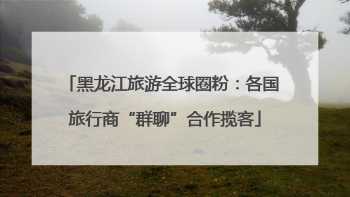 黑龙江旅游全球圈粉：各国旅行商“群聊”合作揽客