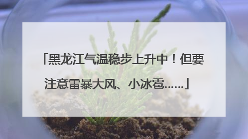 黑龙江气温稳步上升中！但要注意雷暴大风、小冰雹……