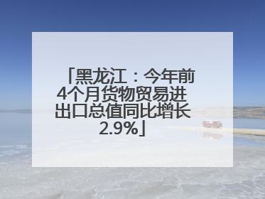 黑龙江：今年前4个月货物贸易进出口总值同比增长2.9%