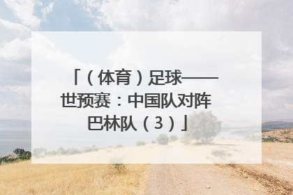 （体育）足球——世预赛：中国队对阵巴林队（3）