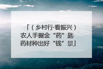 （乡村行·看振兴）农人手握金“药”匙 药材种出好“钱”景