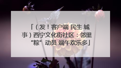（发！客户端 民生 城事）西宁文化街社区：邻里“粽”动员 端午欢乐多