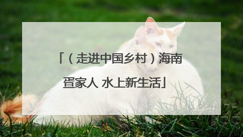 （走进中国乡村）海南疍家人 水上新生活