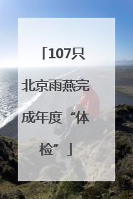 107只北京雨燕完成年度“体检”