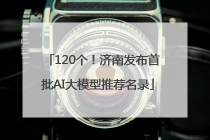 120个！济南发布首批AI大模型推荐名录
