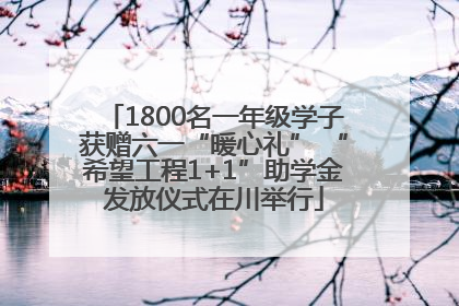 1800名一年级学子获赠六一“暖心礼” “希望工程1+1”助学金发放仪式在川举行