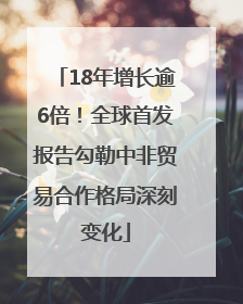18年增长逾6倍！全球首发报告勾勒中非贸易合作格局深刻变化