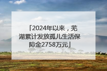 2024年以来，芜湖累计发放孤儿生活保障金2758万元