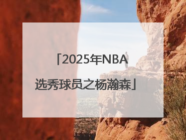 2025年NBA选秀球员之杨瀚森