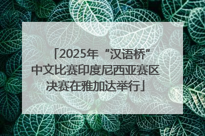 2025年“汉语桥”中文比赛印度尼西亚赛区决赛在雅加达举行