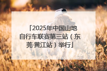 2025年中国山地自行车联赛第三站（东莞·黄江站）举行