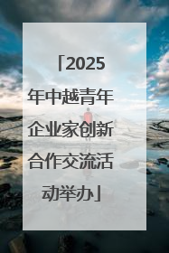 2025年中越青年企业家创新合作交流活动举办