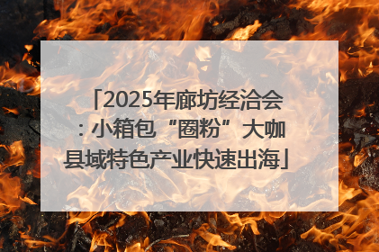 2025年廊坊经洽会：小箱包“圈粉”大咖 县域特色产业快速出海