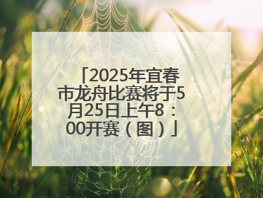 2025年宜春市龙舟比赛将于5月25日上午8：00开赛（图）