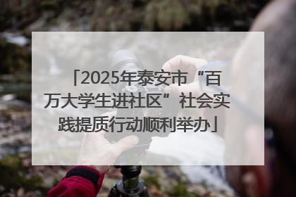 2025年泰安市“百万大学生进社区”社会实践提质行动顺利举办