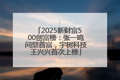 2025新财富500创富榜：张一鸣问鼎首富，宇树科技王兴兴首次上榜