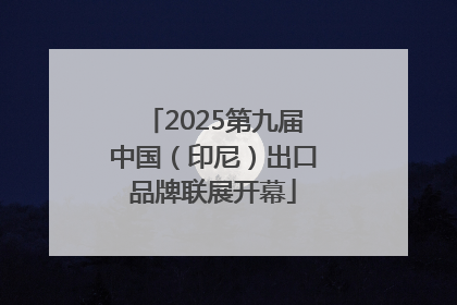 2025第九届中国（印尼）出口品牌联展开幕