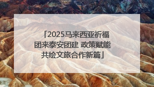 2025马来西亚祈福团来泰安团建 政策赋能共绘文旅合作新篇