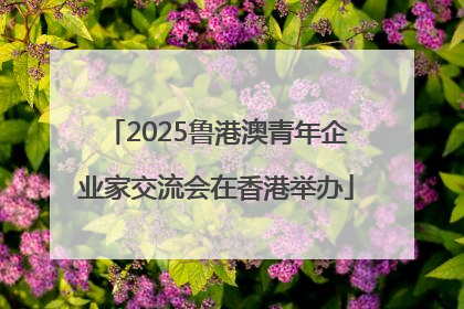 2025鲁港澳青年企业家交流会在香港举办