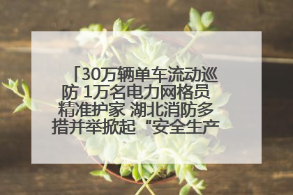 30万辆单车流动巡防 1万名电力网格员精准护家 湖北消防多措并举掀起“安全生产月”宣传热潮