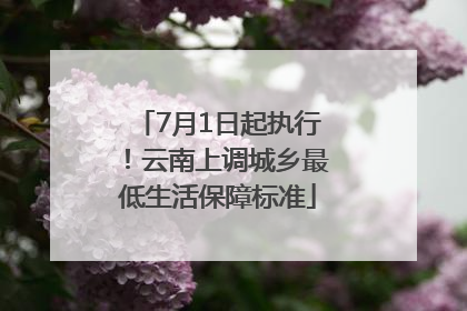 7月1日起执行！云南上调城乡最低生活保障标准